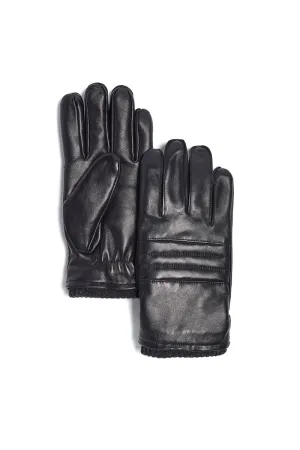 Brume Liard Glove