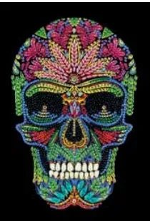 CANJ-4  Notebook : Skull
