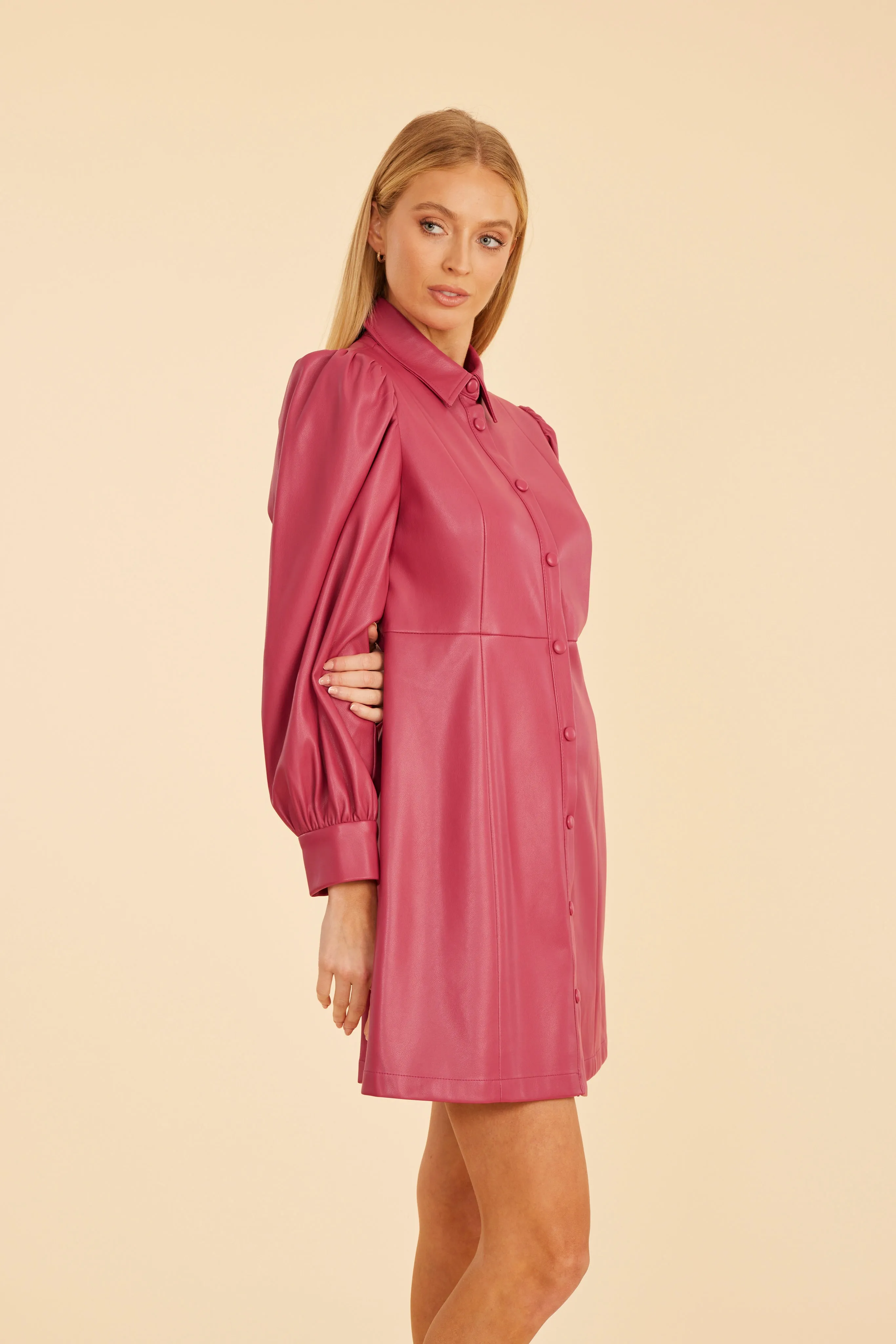Dolce Cabo Faux Leather Puff Shoulder Dress