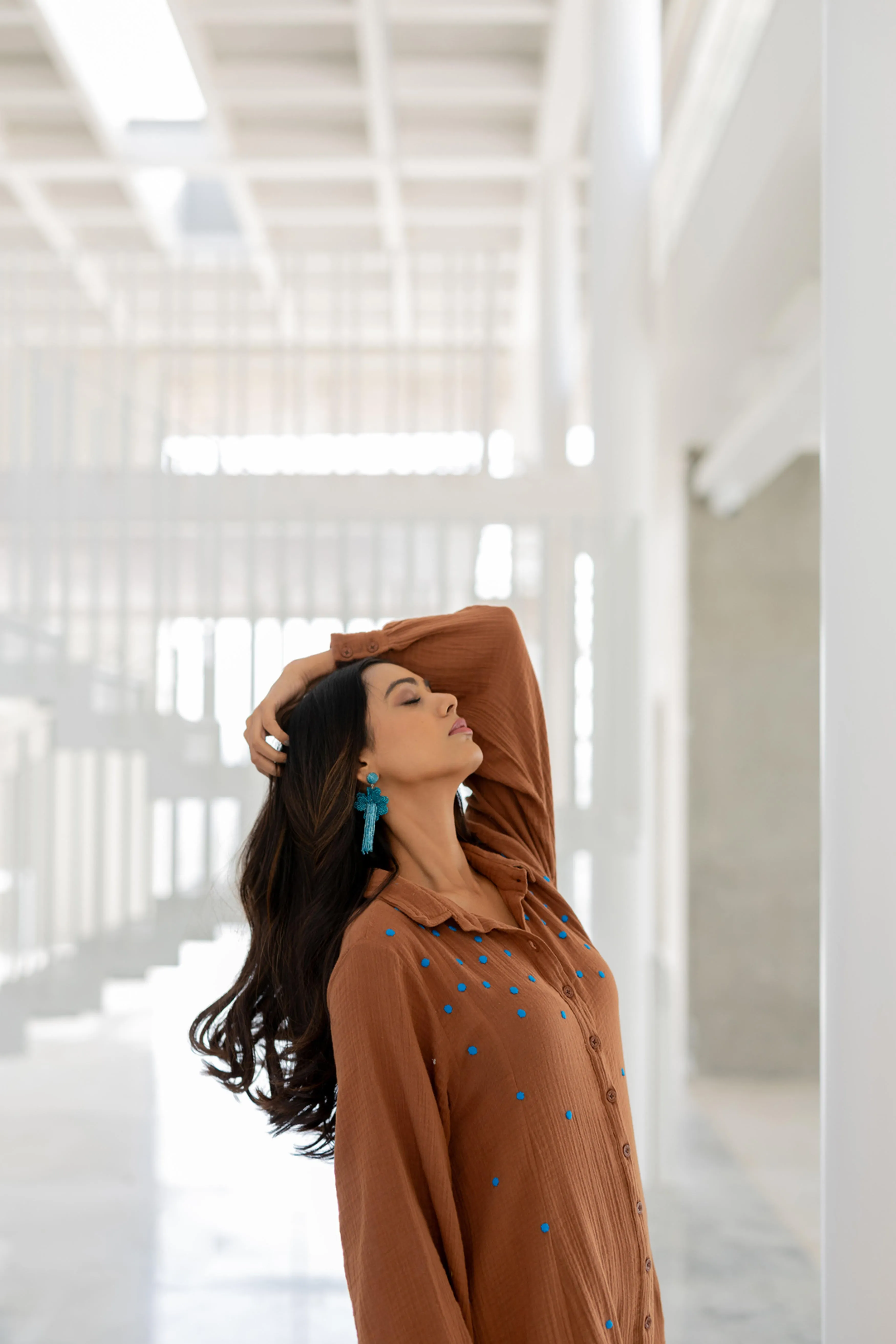 Echo | Pecan Dress