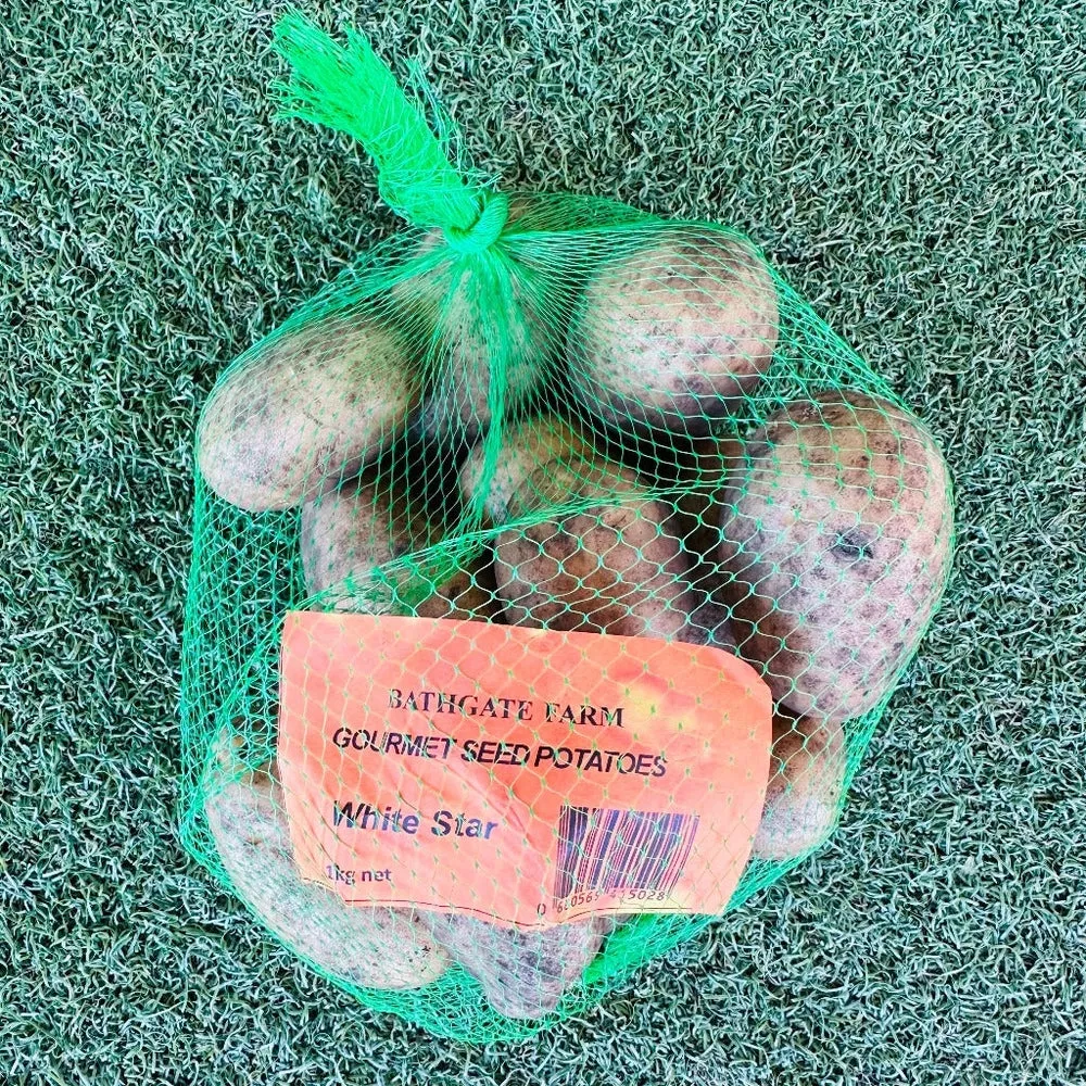 Gourmet Seed Potatoes, from Bathgate Farm