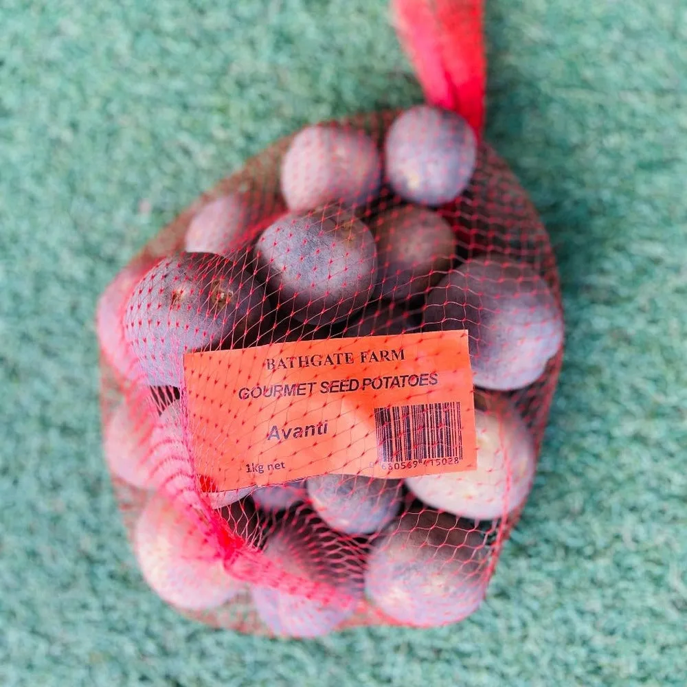 Gourmet Seed Potatoes, from Bathgate Farm