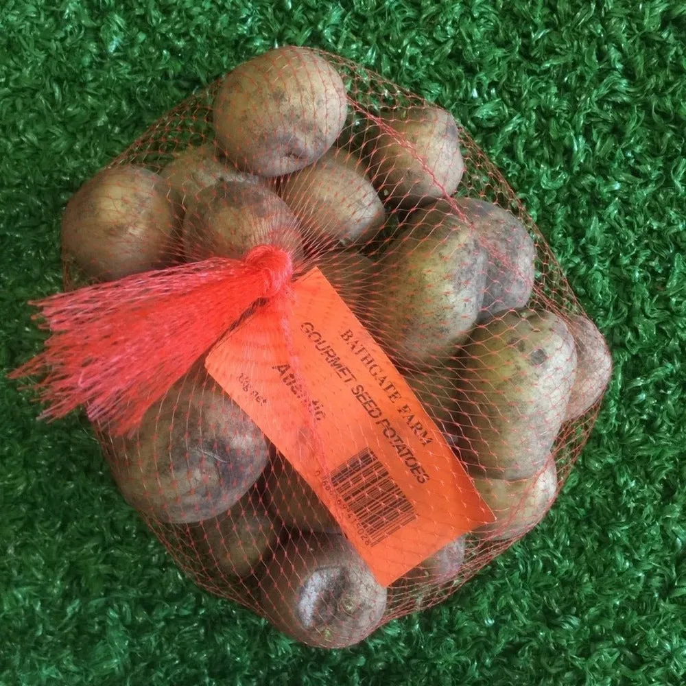 Gourmet Seed Potatoes, from Bathgate Farm