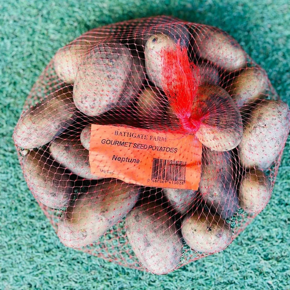 Gourmet Seed Potatoes, from Bathgate Farm