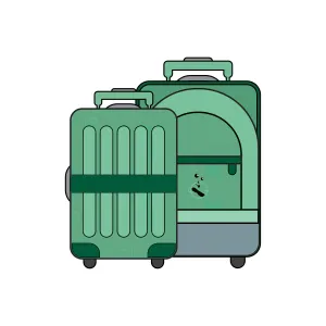 Large Bag Cleaning