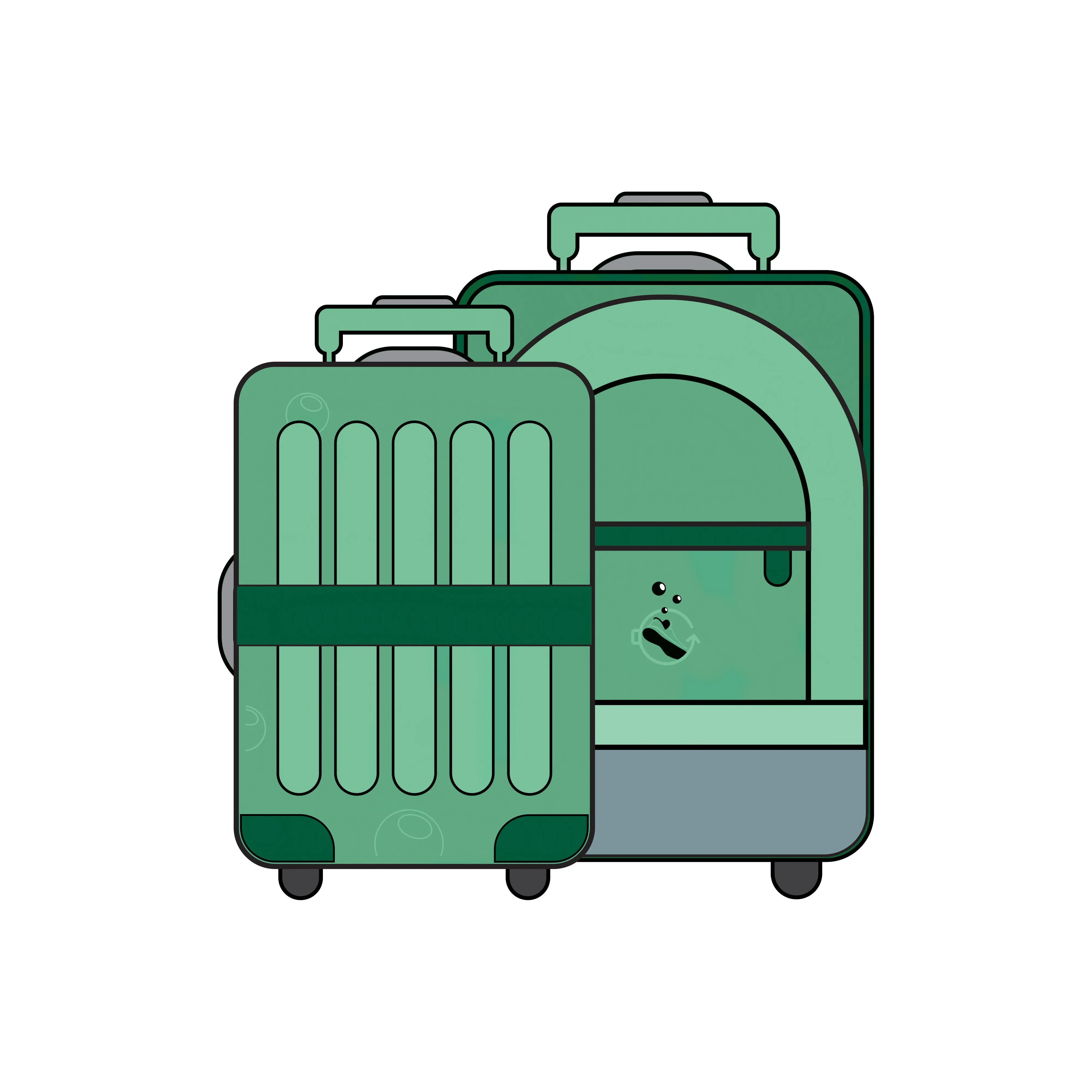 Large Bag Cleaning