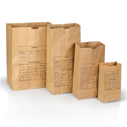 Lightning Powder Printed Paper Evidence Bags Various Sizes 100 Pack