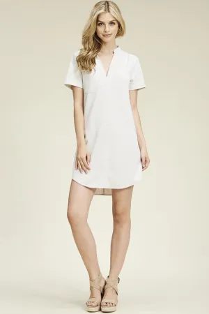 LIZ LIGHT TAUPE TUNIC DRESS