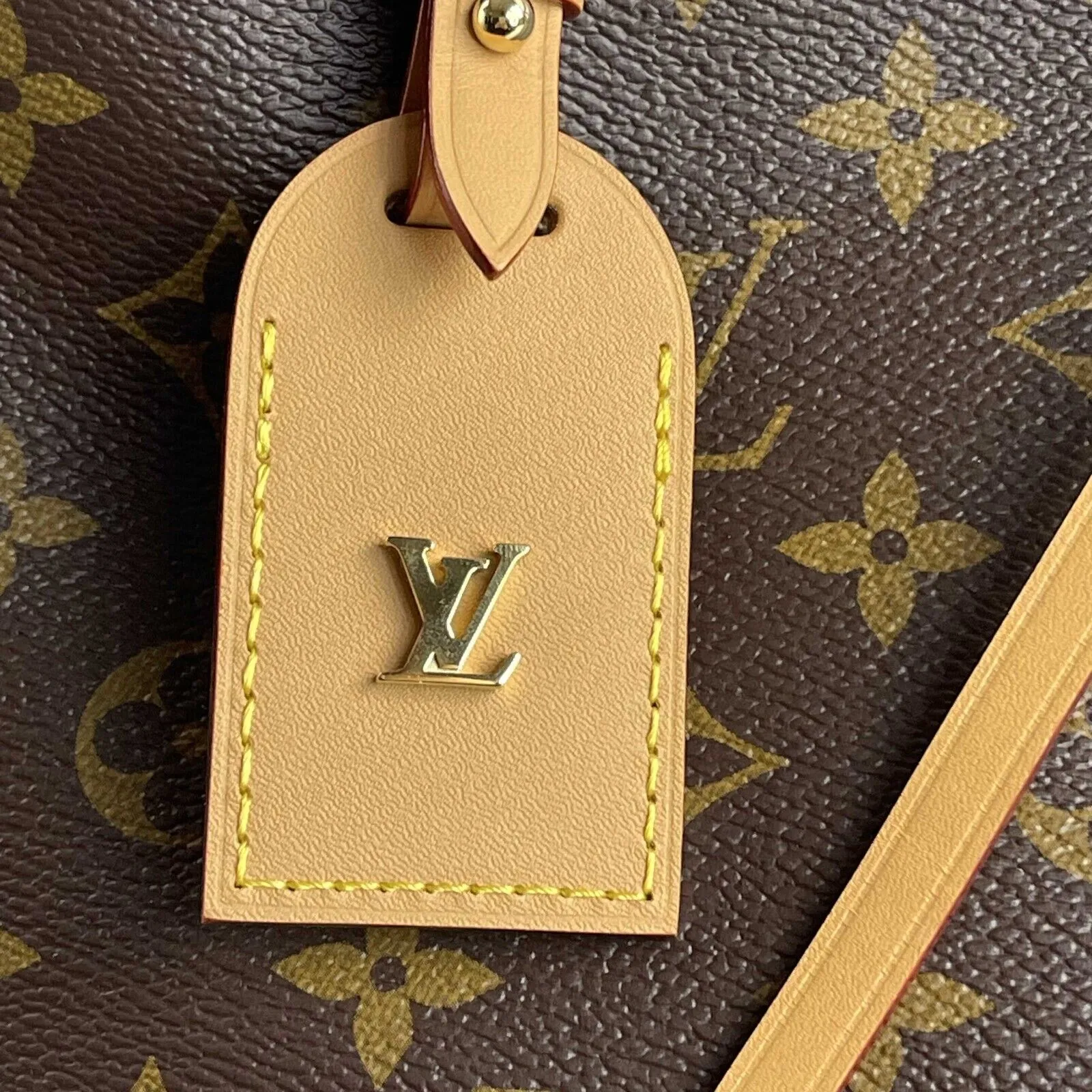 Louis Vuitton CarryAll Hobo Monogram Canvas PM Handbag