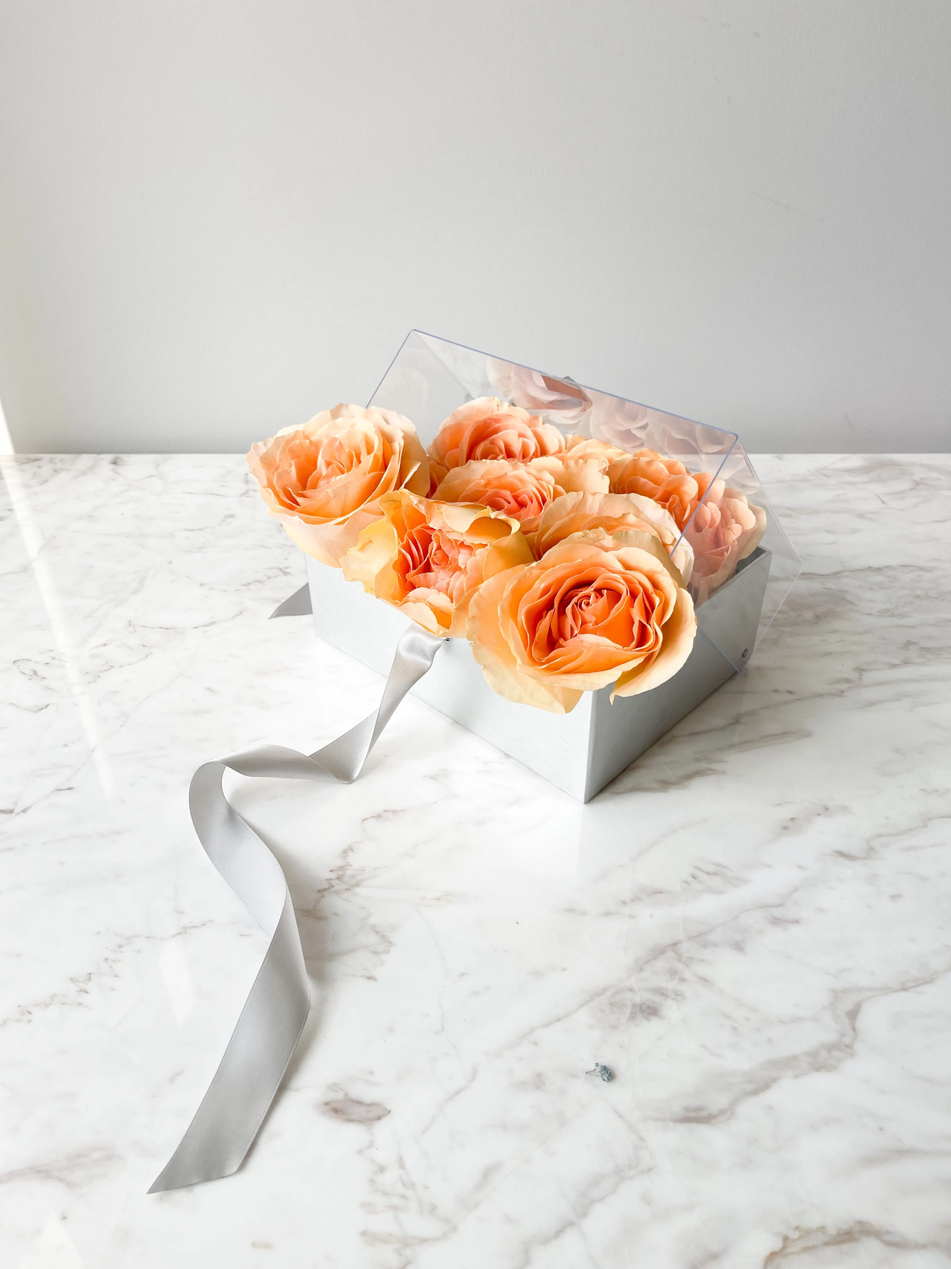 Metallic Acrylic Box with Ribbon