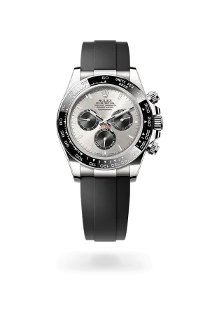Rolex Cosmograph Daytona in 18 kt white gold, M126519LN-0006 | Schwanke-Kasten Jewelers
