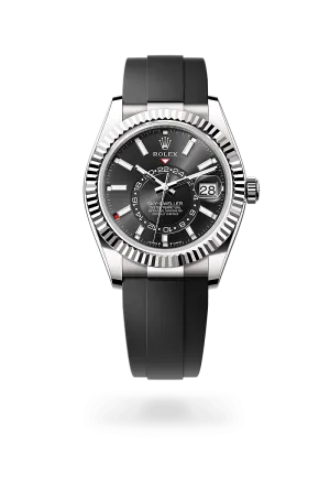 Rolex Sky-Dweller in 18 kt white gold, M336239-0002 | Walters & Hogsett