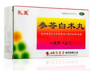 Shen Ling Bai Zhu Wan (6g*10 bags) 参苓白术丸 KongMeng