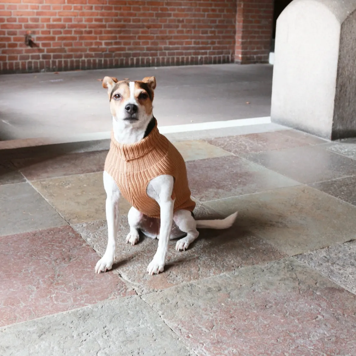 Tadazhi Unisex Wool Dog Sweater