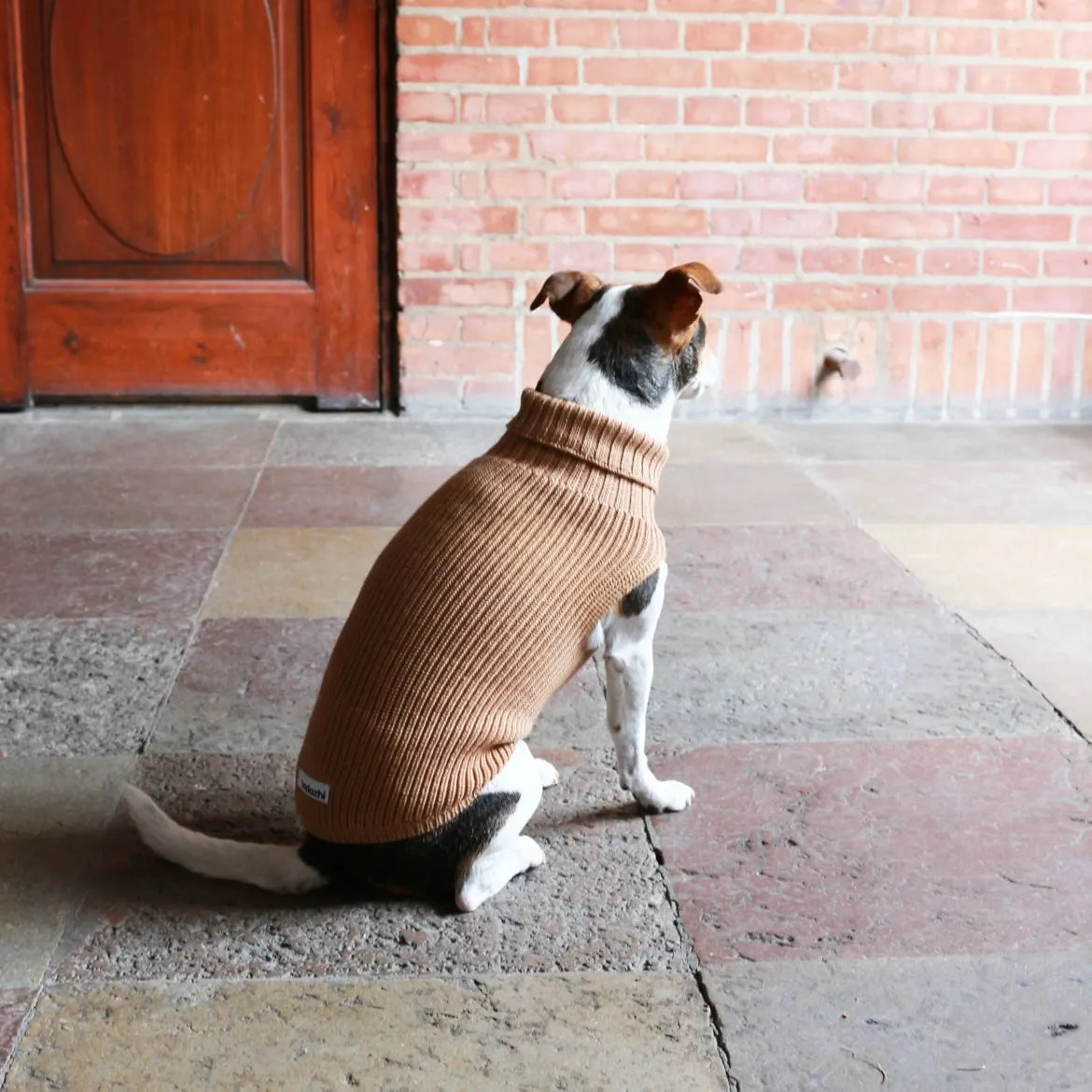 Tadazhi Unisex Wool Dog Sweater