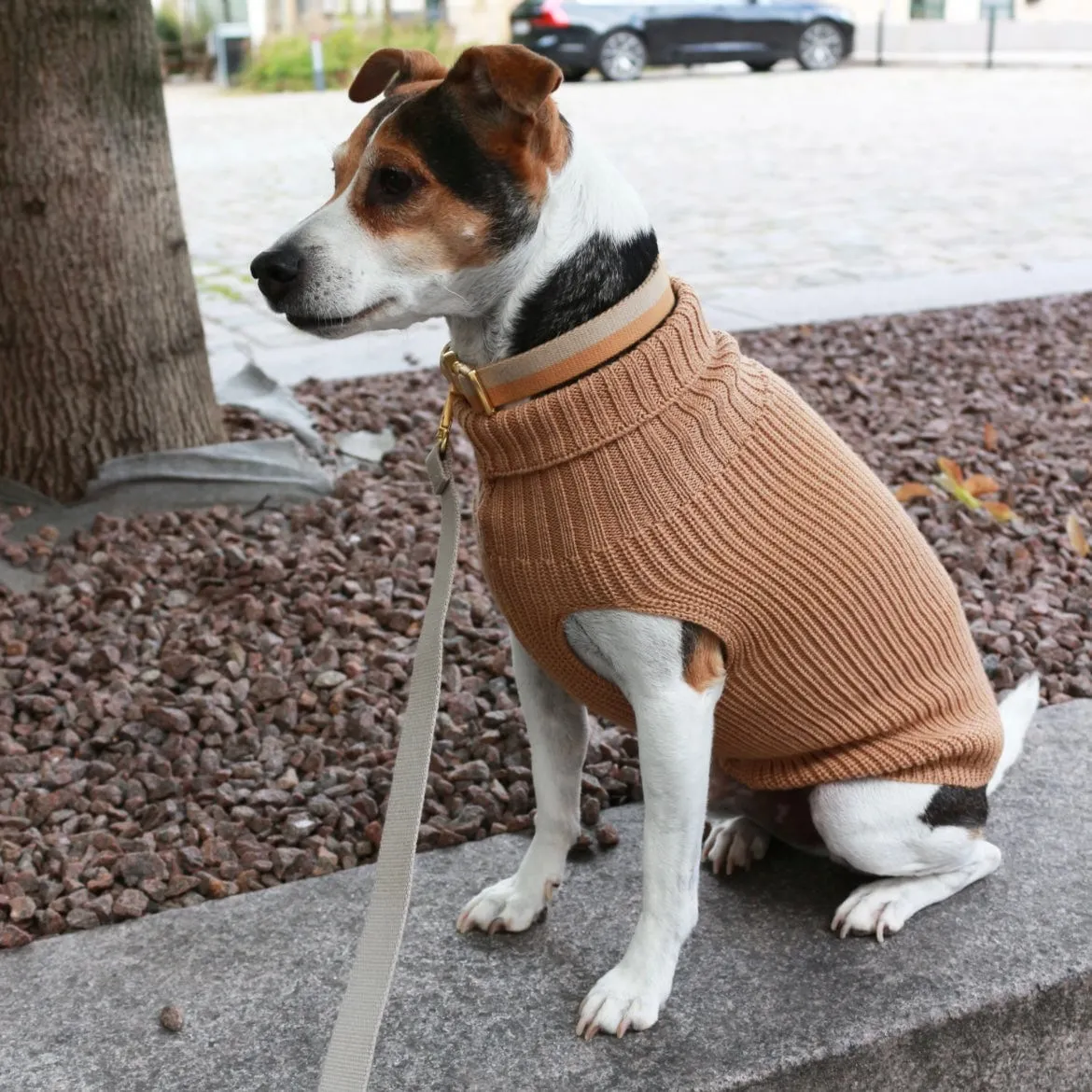 Tadazhi Unisex Wool Dog Sweater