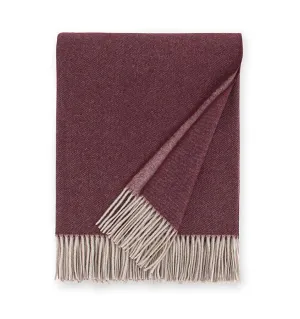 Tartini Throw by Sferra