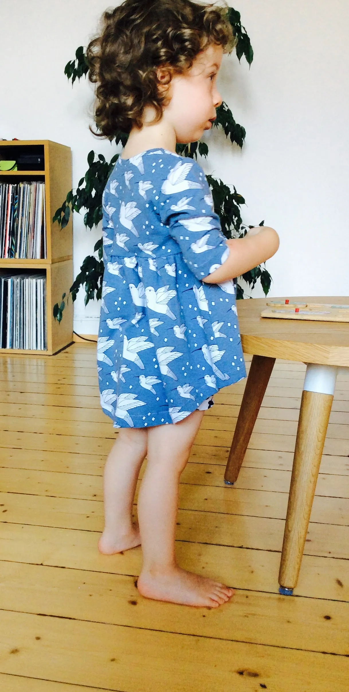 The dressy top